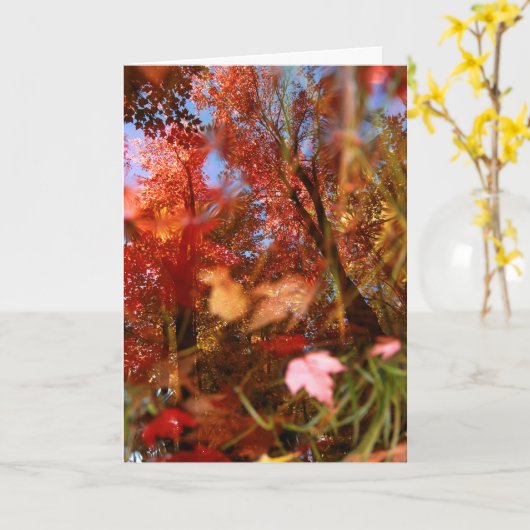 Bezinningen Kaart (Gele Bloem)