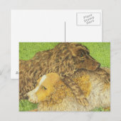 BEZIT BRIEFKAART (Voorkant / Achterkant)