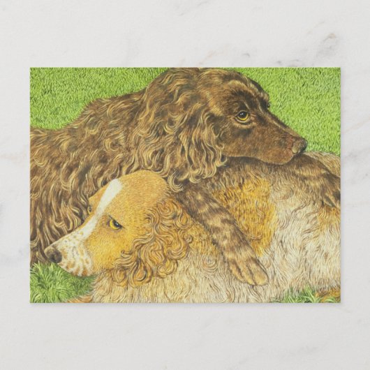 BEZIT BRIEFKAART (Voorkant)