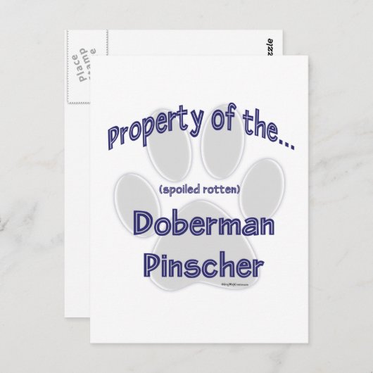 Bezit Doberman Pinscher Briefkaart (Voorkant / Achterkant)