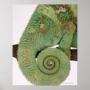 Bezit droge berggebieden. inheemse poster