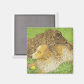 BEZIT MAGNEET (Voorkant / Achterkant)