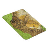 BEZIT MAGNEET (Rechterzijde)