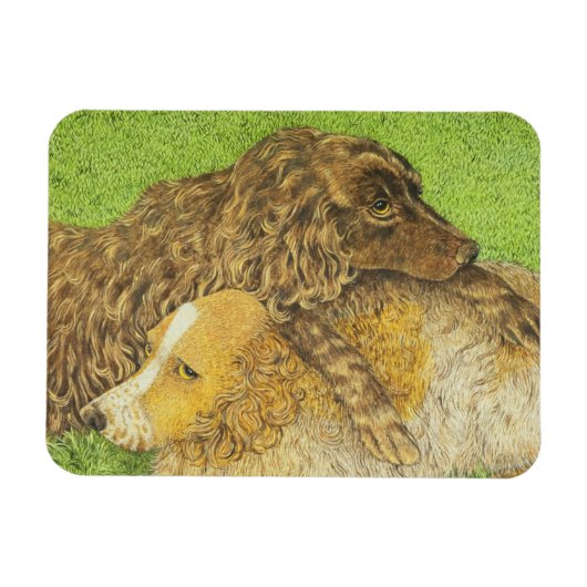 BEZIT MAGNEET (Horizontaal)