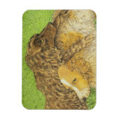 BEZIT MAGNEET (Verticaal)