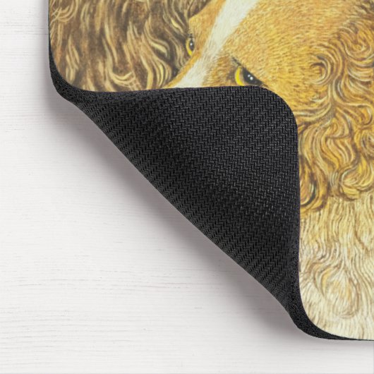 BEZIT MUISMAT (Hoek)