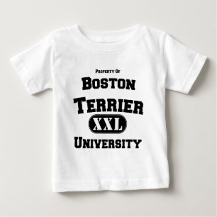 Bezit van de Universiteit van Boston Terrier