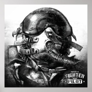 Bezit van de vechtpiloot poster