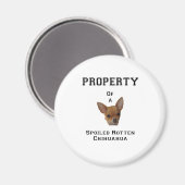 Bezit van een Spoiled Rotten Chihuahua Magneet (Voorkant / Achterkant)