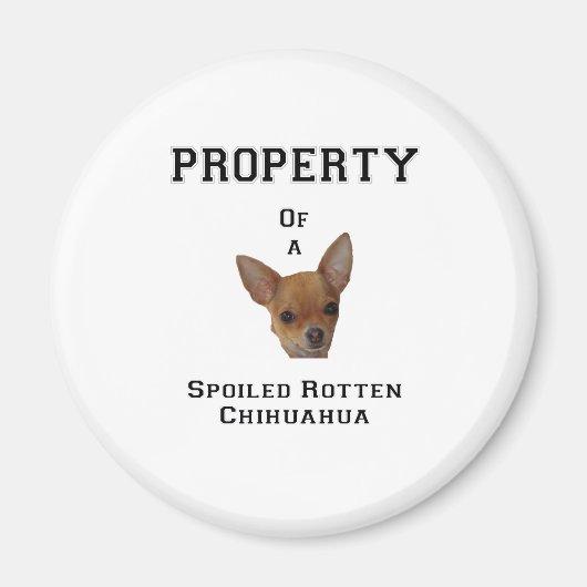 Bezit van een Spoiled Rotten Chihuahua Magneet (Voorkant)