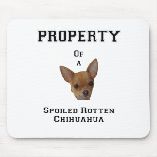 Bezit van een Spoiled Rotten Chihuahua Muismat
