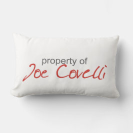 Bezit van Joe Covelli Pillow Kussen
