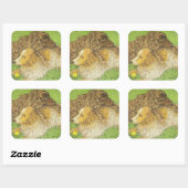 BEZIT VIERKANTE STICKER (Vel)