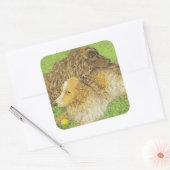 BEZIT VIERKANTE STICKER (Envelop)