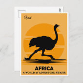 Bezoek Afrika Afrikaanse struisvogel Reizen Briefkaart (Voorkant / Achterkant)
