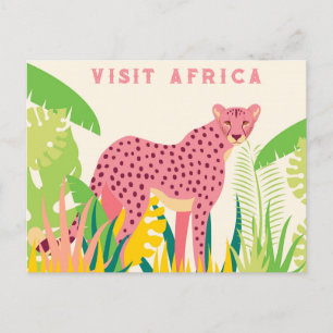 Bezoek Afrika Roze Cheetah Briefkaart