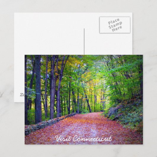 Bezoek Connecticut Briefkaart (Voorkant / Achterkant)