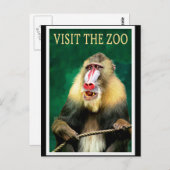 Bezoek de dierentuin, het oude poster voor reizen briefkaart (Voorkant / Achterkant)
