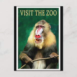 Bezoek de dierentuin, het oude poster voor reizen briefkaart
