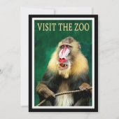Bezoek de dierentuin, vintage reis poster, (Voorkant)