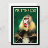 Bezoek de dierentuin, vintage reis poster, (Voorkant / Achterkant)