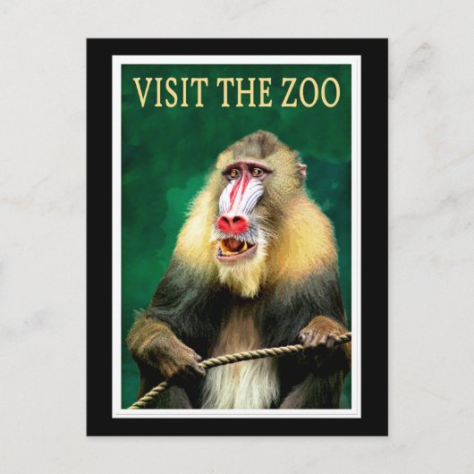 Bezoek de dierentuin, vintage reisposter briefkaart (Voorkant)