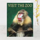 Bezoek de mandril in de dierentuin kaart (Gele Bloem)