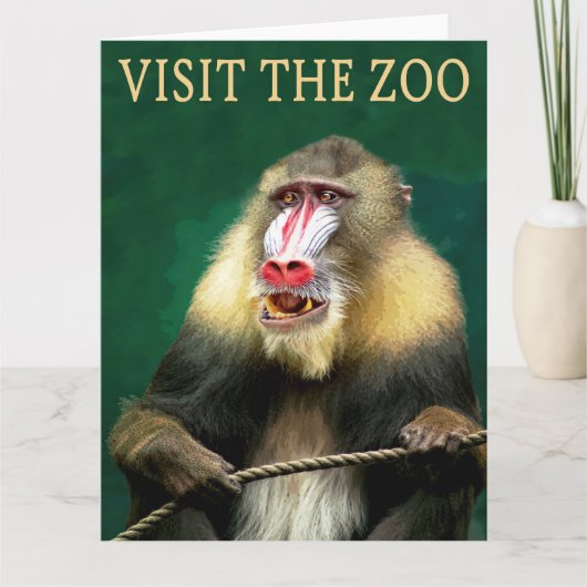 Bezoek de mandril in de dierentuin kaart (Voorkant)
