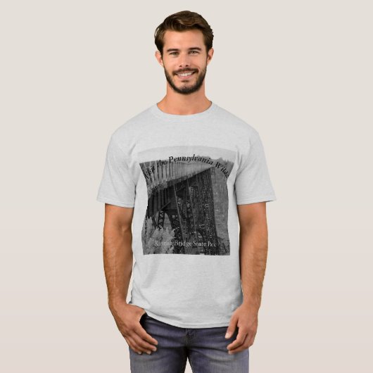 Bezoek de PA Wilds Souvenir Kinzua Bridge T-shirt (Voorkant volledig)