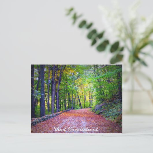 Bezoek het Briefkaart Connecticut (Staand voorkant)