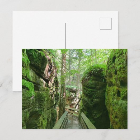 Bezoek het WV-Beartown State Park Briefkaart (Voorkant / Achterkant)