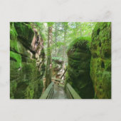 Bezoek het WV-Beartown State Park Briefkaart (Voorkant)