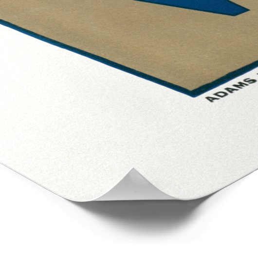 Bezoek India A Street door Moonlight Travel Poster (Hoek)