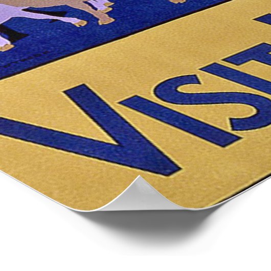  bezoek Indiase reisaffiche afdrukken Poster (Hoek)