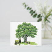 Bezoek met pater Oak Briefkaart (Staand voorkant)