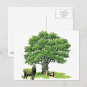 Bezoek met pater Oak Briefkaart (Voorkant / Achterkant)