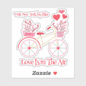 Bezoek New York van Bicycle Love in de lucht Sticker (Vel)