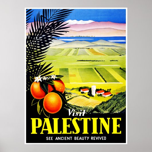 Bezoek Palestine ~ Zie Oude schoonheid herzien Poster (Voorkant)