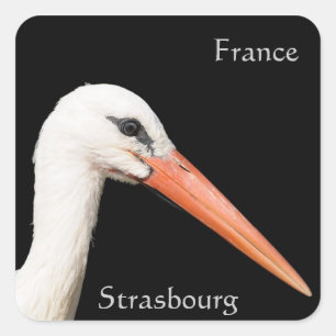 Bezoek Straatsburg Vierkante Sticker