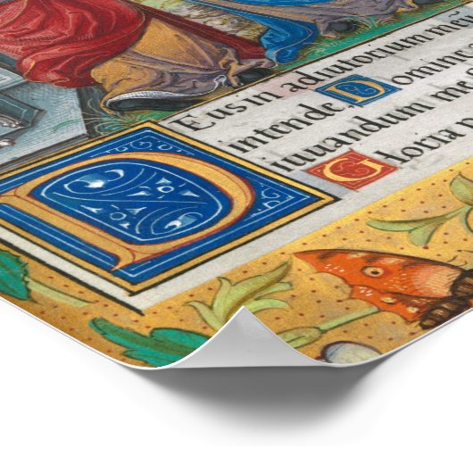 Bezoek van Elizabeth Medieval Manuscript Poster (Hoek)