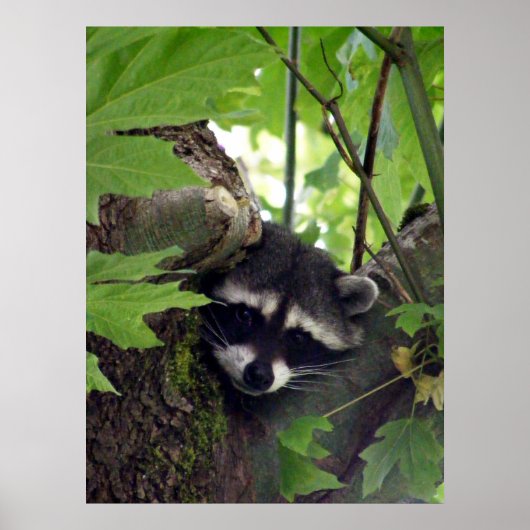 Bezoeker Poster (Voorkant)