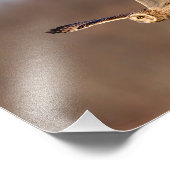 Bezoekers van de Graslanden: Velduilen Foto Afdruk (Hoek)