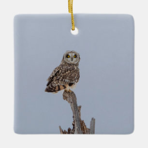 Bezoekers van de Graslanden   Velduilen Keramisch Ornament