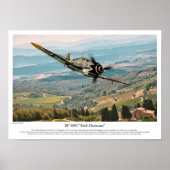 BF 109G-6  "Erich Hartmann" Poster (Voorkant)