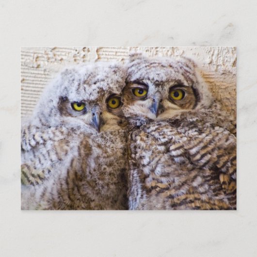 BFF - Beste vrienden voor altijd Briefkaart (Voorkant)