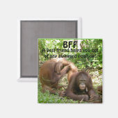BFF Beste vrienden voor altijd Magneet (Voorkant / Achterkant)