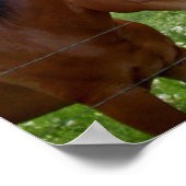 BFF Beste vrienden voor altijd Poster (Hoek)