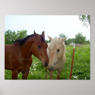 BFF Beste vrienden voor altijd Poster