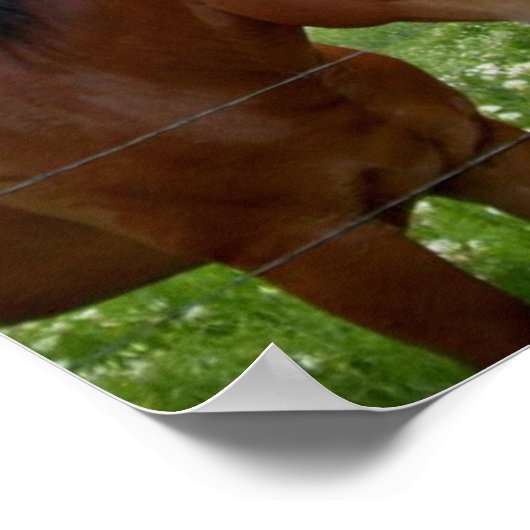 BFF Beste vrienden voor altijd Poster (Hoek)