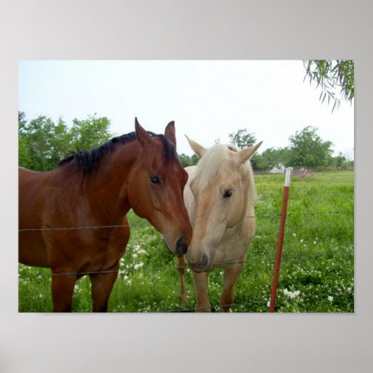 BFF Beste vrienden voor altijd Poster (Voorkant)